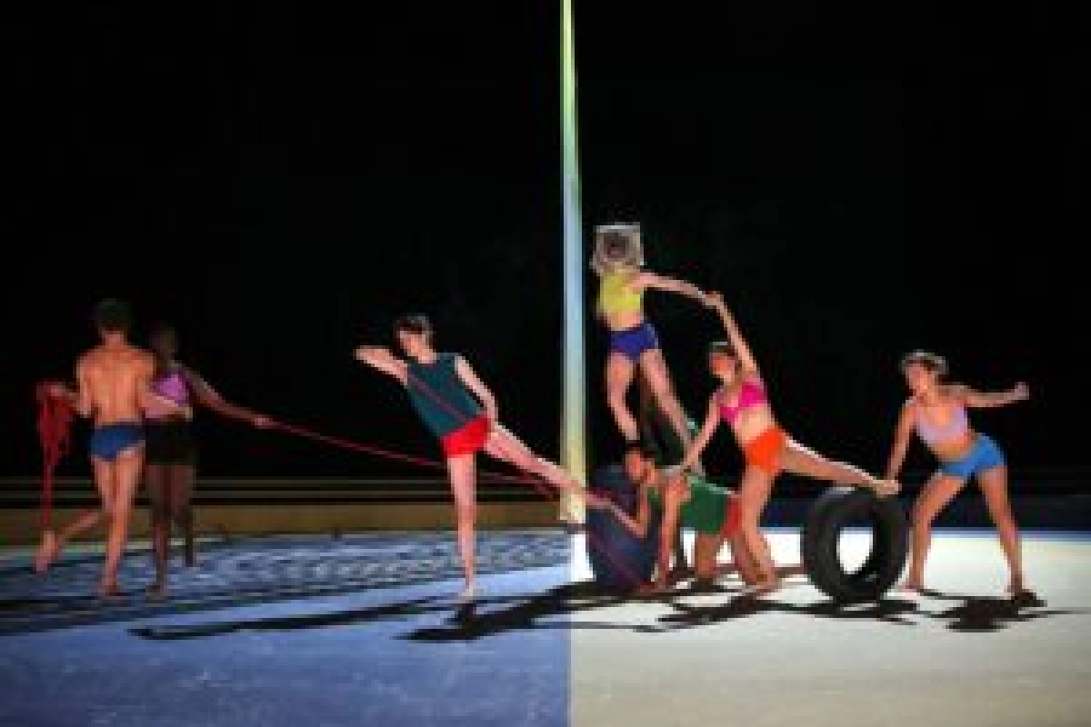 Nicole Beutler Projects